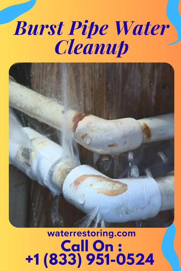 Burst Pipe Water Cleanup in Rochester, PA