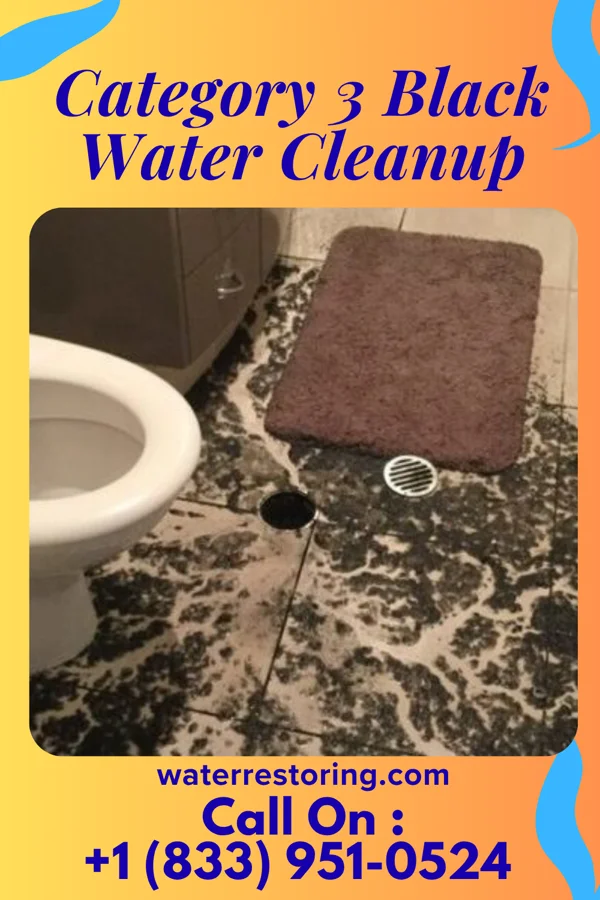 Category 3 Black Water Cleanup in Rochester, PA