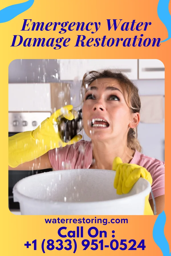 Emergency Water Damage Restoration in Rochester, PA