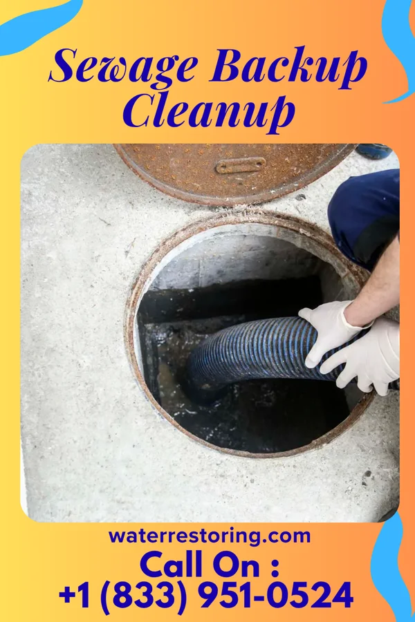 Sewage Backup Cleanup in Rochester, PA