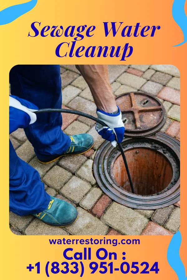 Sewage Water Cleanup in Rochester, PA