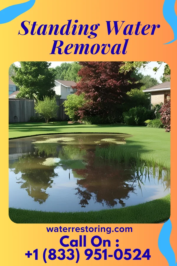 Standing Water Removal in Rochester, PA
